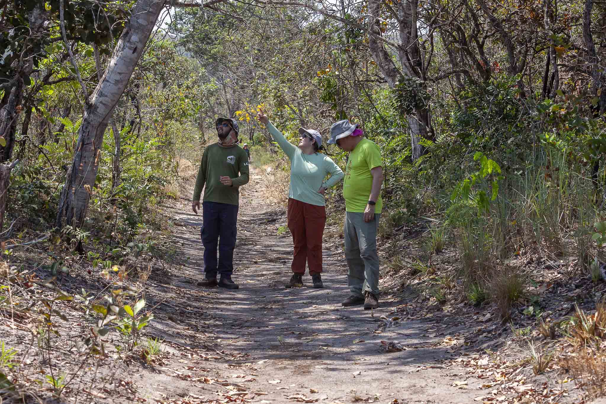 Imagem Expedição Chap Guim - ESEC Serra das Araras--44 da expedição de expedicoes/araras_25